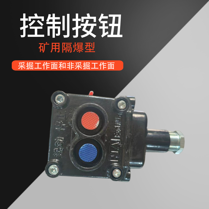 防爆雙聯(lián)控制按鈕規(guī)格多樣礦用二聯(lián)按鈕盒開關(guān)可逆啟動