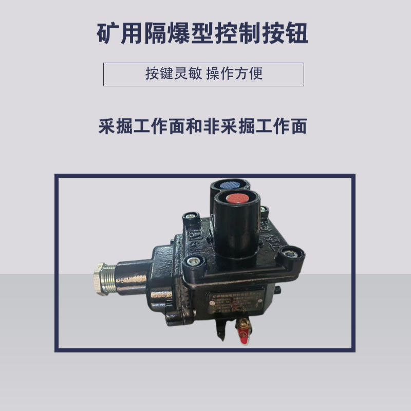 礦用二聯(lián)按鈕盒性能穩(wěn)定急停按鈕開(kāi)關(guān)應(yīng)用范圍廣