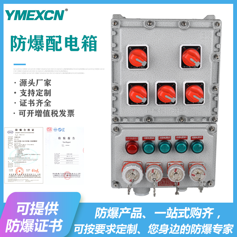 BXX51-2\/4\/6\/8\/10防爆檢修電源插座箱防爆照明動力插座箱控制柜