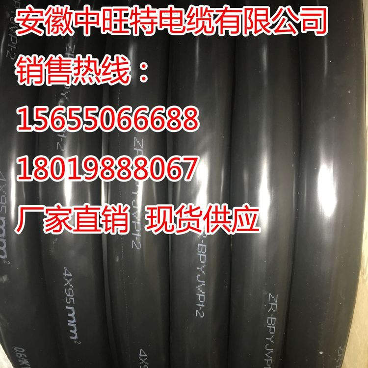 BPYJVP電纜，ZRBPYJVP變頻電纜【精品制造】