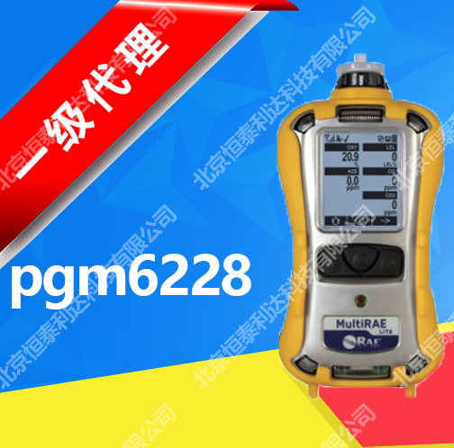 fAMultiRAE2һzyxPGM-6228