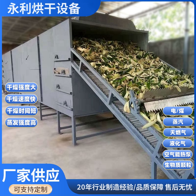 定制冬瓜皮無花果烘干機(jī)多層帶式藥材干燥設(shè)備果蔬烘干設(shè)備加工