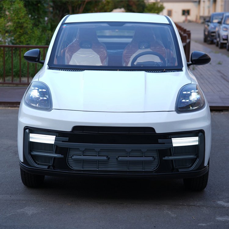 家用上班接娃代步車小型電動車新能源老年汽車