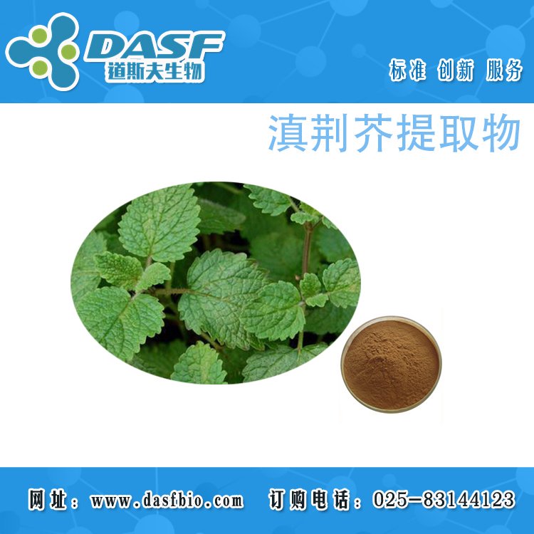 滇荊芥提取物4:1水溶性粉浸膏代加工分離可定制