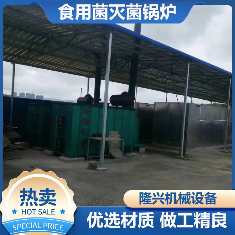 山西太原大型立式蒸汽鍋爐食用菌新型滅菌鍋爐熱效率高隆興機(jī)械H