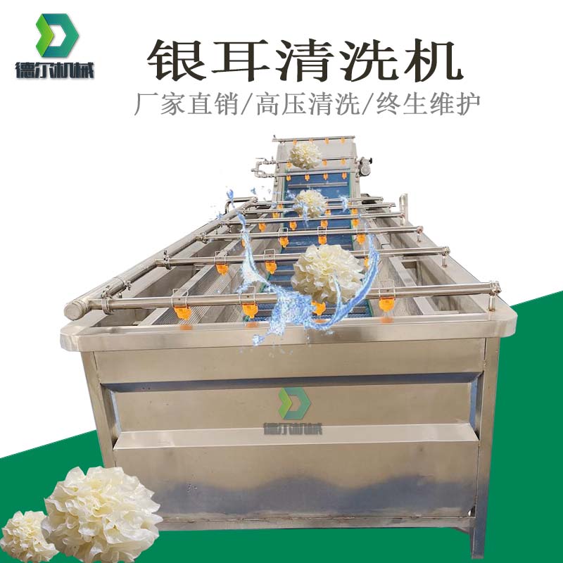 鮮銀耳清洗機木耳清洗機器銀耳羹加工設備氣泡清洗機德爾機械