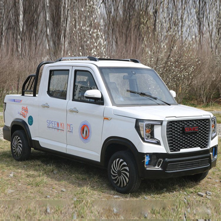 鋰電池電動四輪代步車家用全封閉鐵殼油電兩用低速電瓶車可上牌