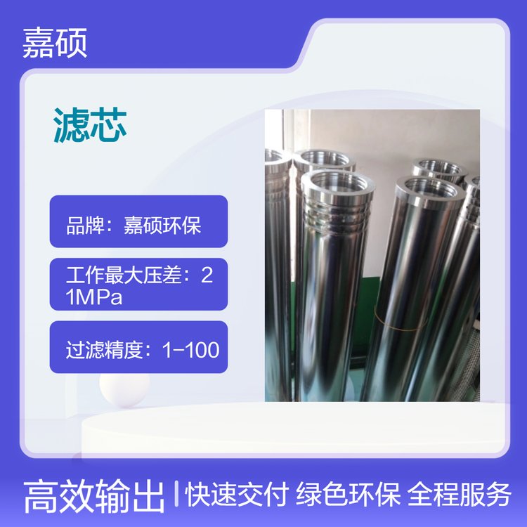 嘉碩環(huán)保HC0653FAG39Z再生裝置離子樹(shù)脂除酸脫水濾芯