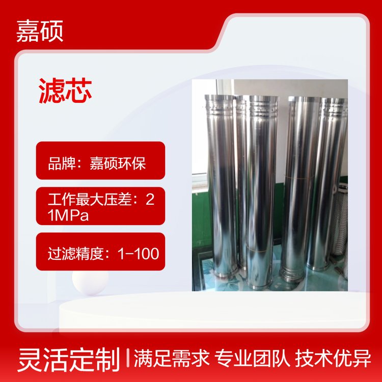 嘉碩環(huán)保生產(chǎn)RP0653FAG39Z普瑞奇陰離子除酸濾芯