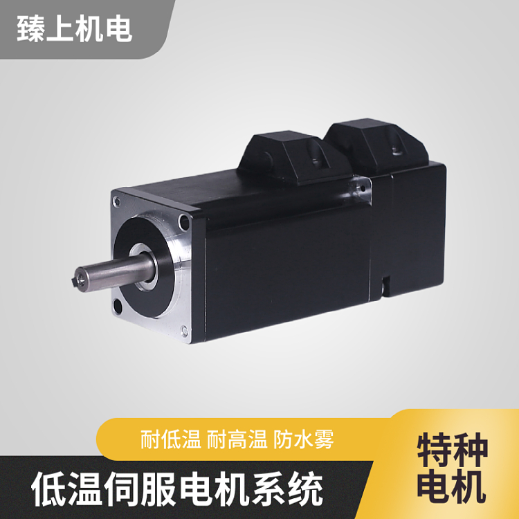 零下-40度低溫伺服電機交流直流可選耐低溫永磁伺服馬達(dá)系統(tǒng)定制